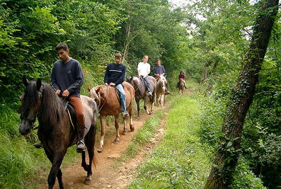 Rutas a caballo